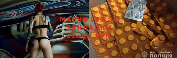 стафф Дмитров
