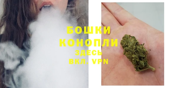 мдпв Дмитровск