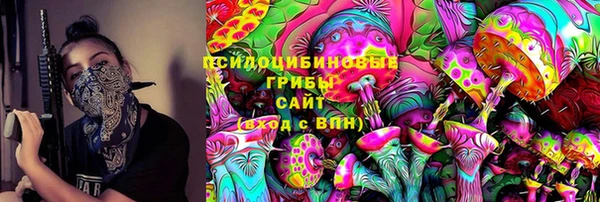 стафф Дмитров