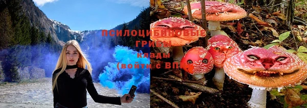 стафф Дмитров