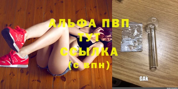 гидропоника Дмитриев