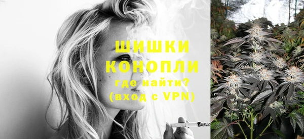 гидропоника Дмитриев