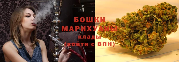 мдпв Дмитровск