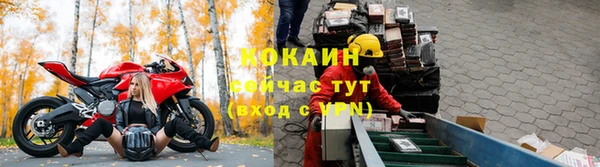 мдпв Дмитровск