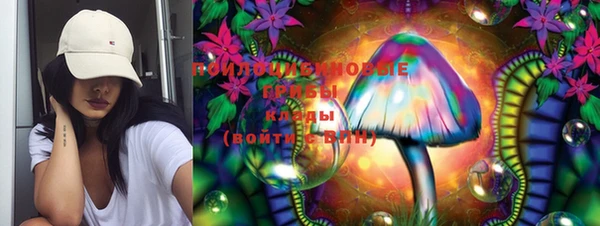 мдпв Дмитровск