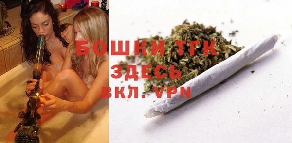 гидропоника Дмитриев