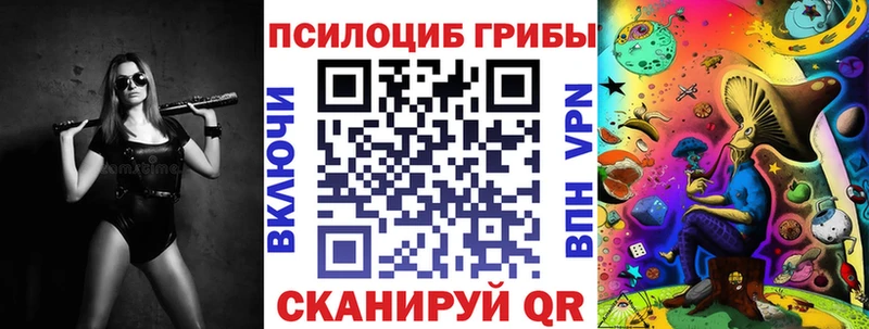 Купить где  Красный Сулин  Псилоцибиновые грибы Magic Shrooms 